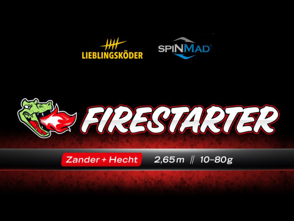 Lieblingsköder Firestarter Zander + Hecht 2,65m 10-80g