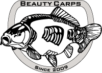 Beauty Carps