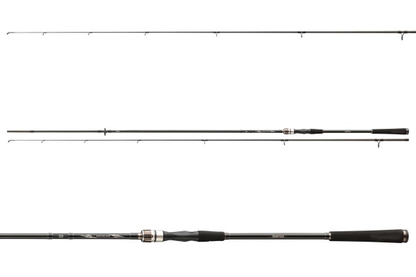 Daiwa Exceler Spin Seatrout 3,15m 15-40g