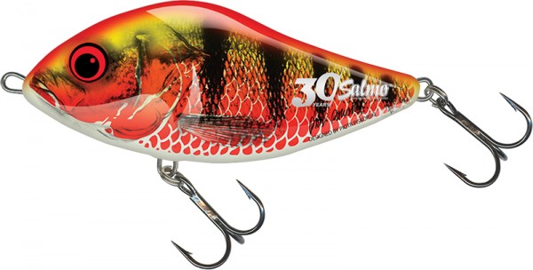Salmo Limited Edition 30th Anniversary Sliders SD12S Holo